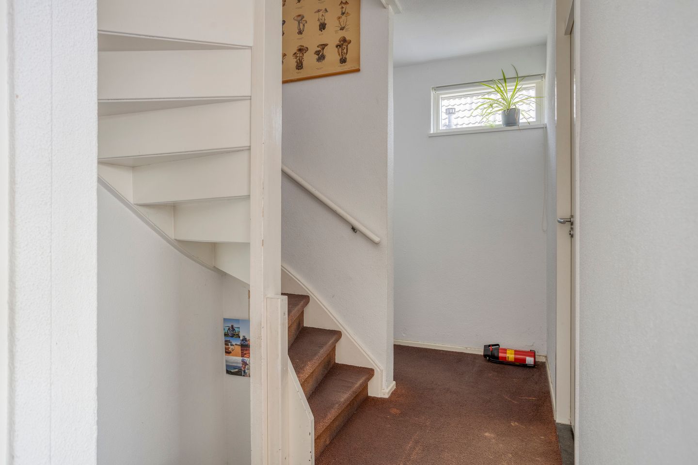 Foto 20 van Westergoleane 59