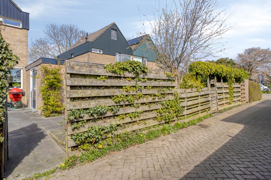 Foto 43 van Westergoleane 59