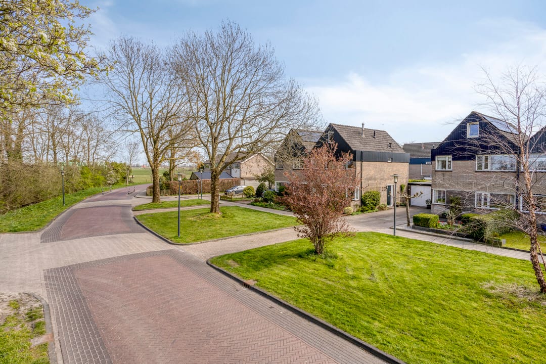 Foto 7 van Westergoleane 59