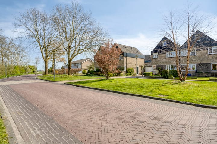 Foto 4 van Westergoleane 59