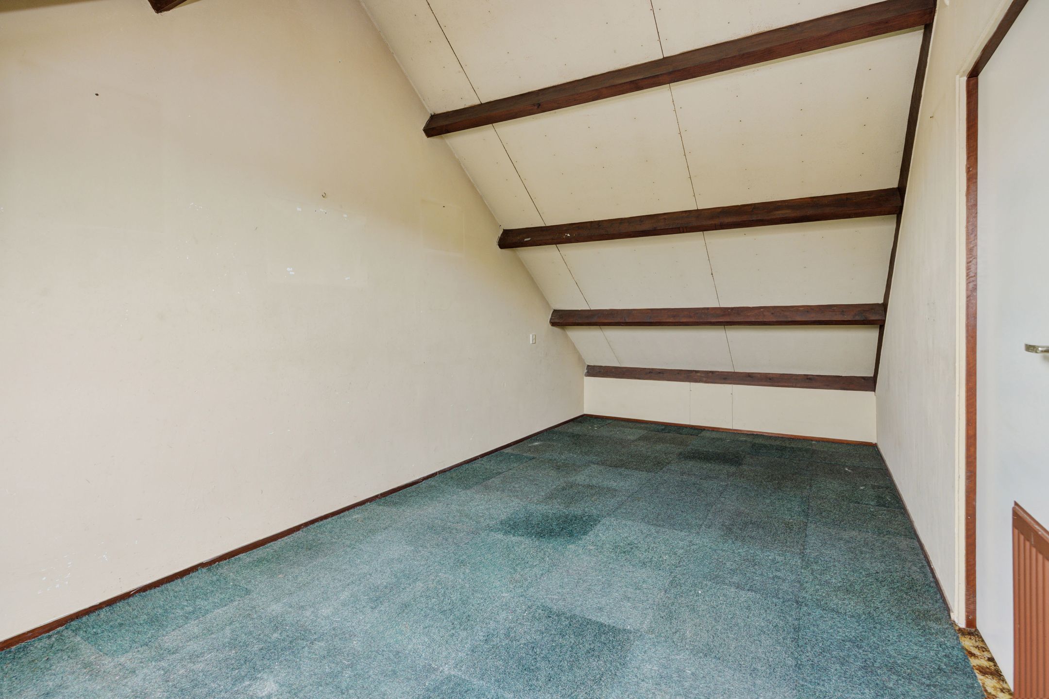 Foto 21 van Zesde Buitenpepers 166