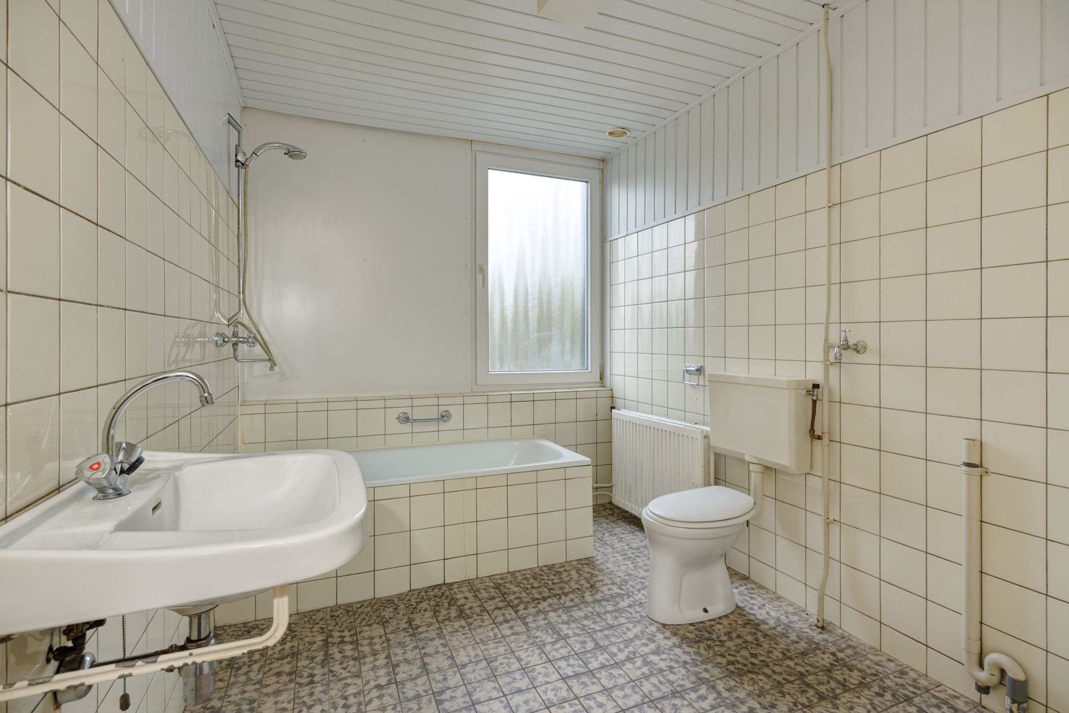 Foto 18 van Zesde Buitenpepers 166