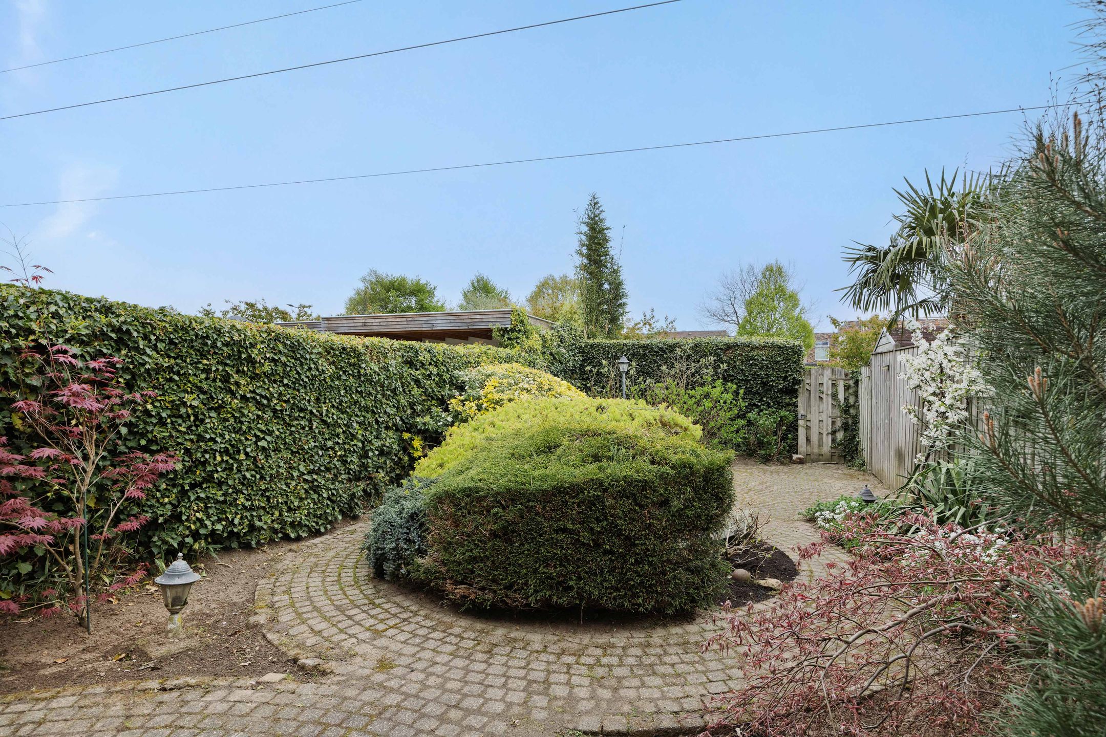 Foto 24 van Zesde Buitenpepers 166