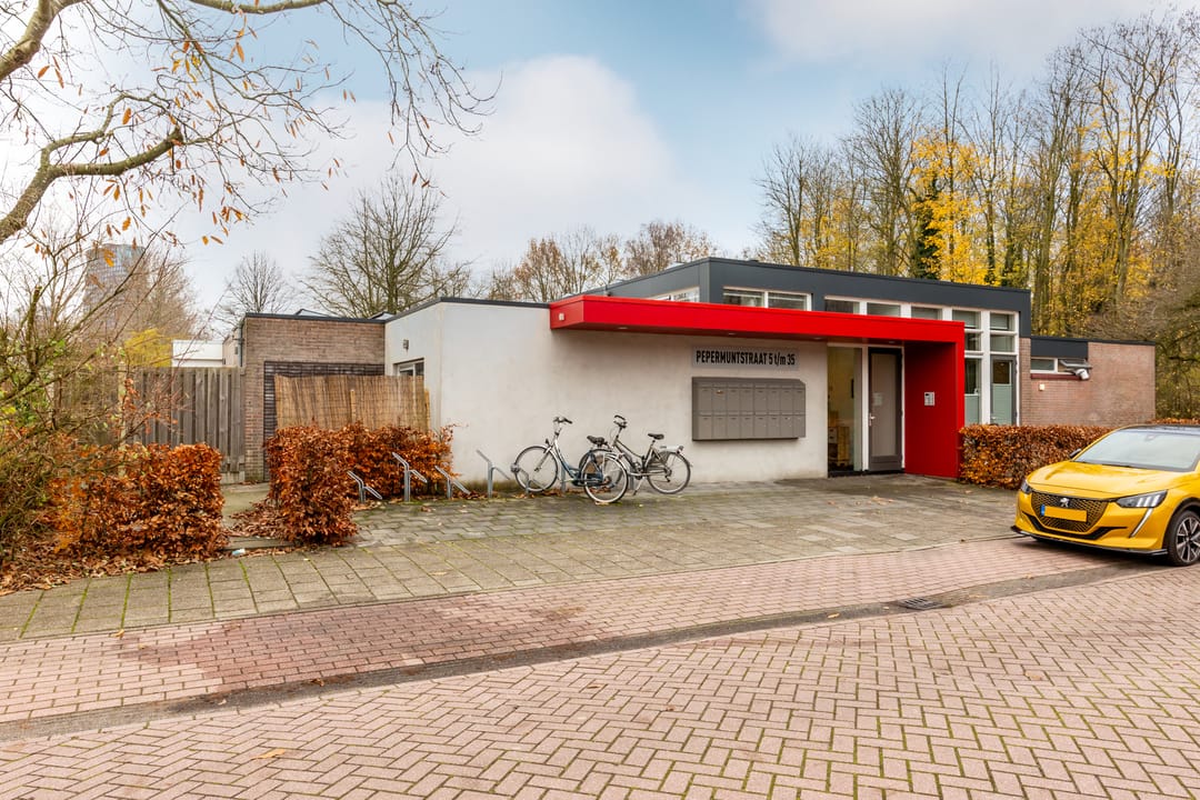 Foto 8 van Pepermuntstraat 27