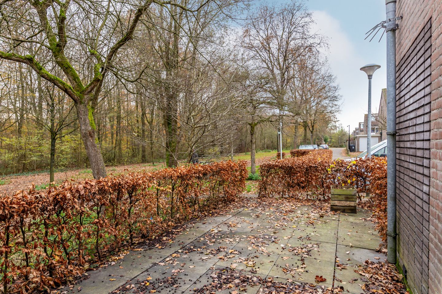 Foto 19 van Pepermuntstraat 27