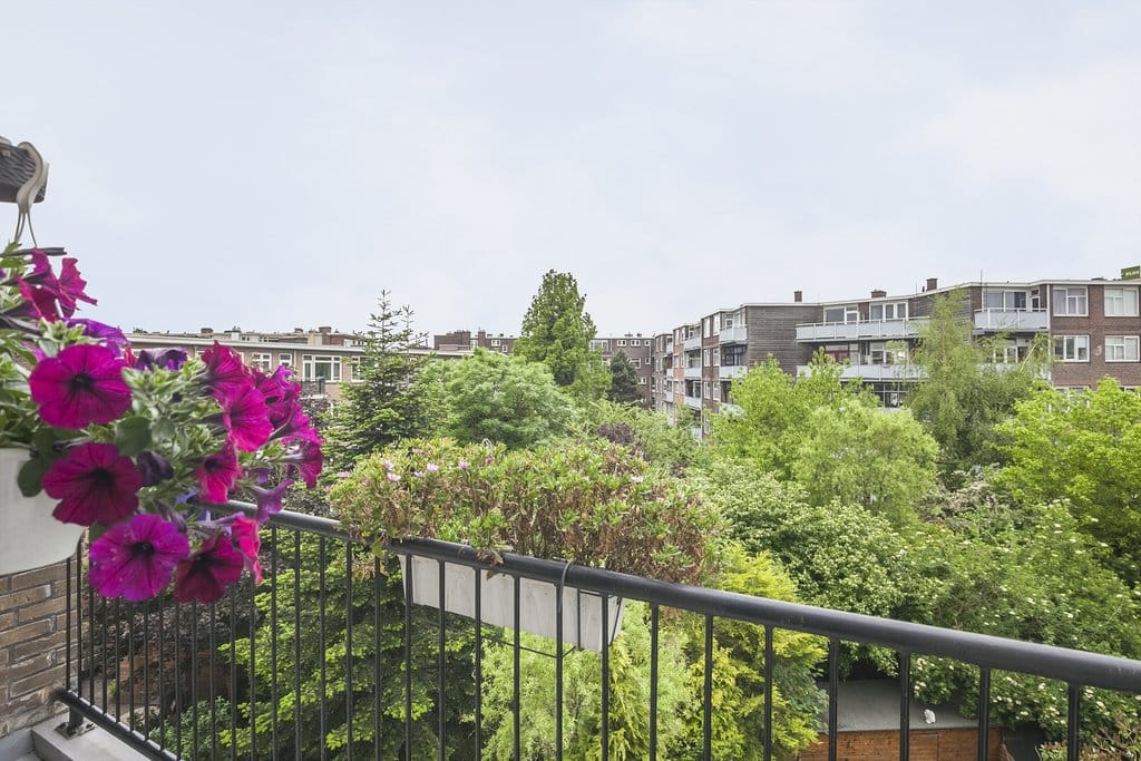 Foto 30 van Nolensstraat 75-D