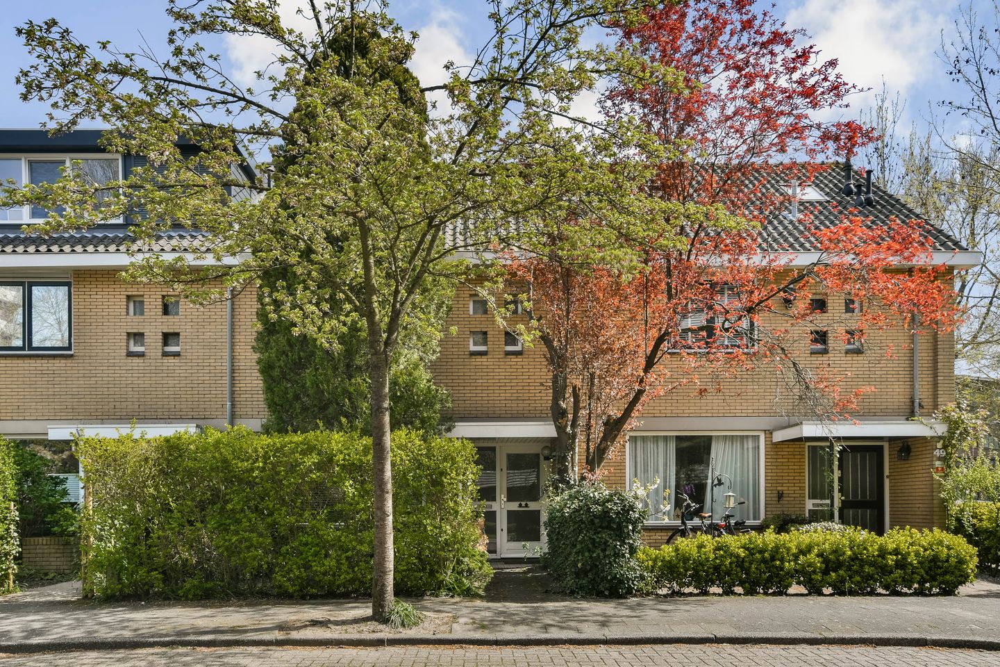 Foto 1 van In de Wolken 47