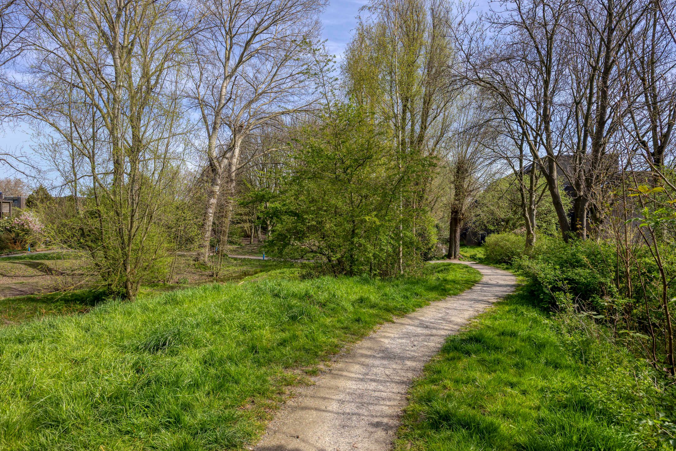 Foto 48 van Pijlkruidvaart 14