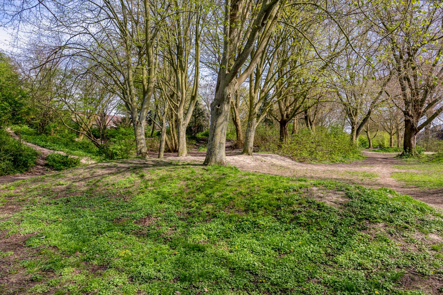 Foto 49 van Pijlkruidvaart 14