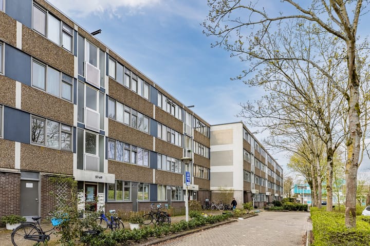 Photo 4 of Fokkezeil 63