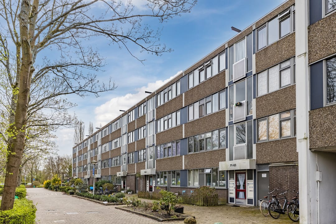 Photo 7 of Fokkezeil 63