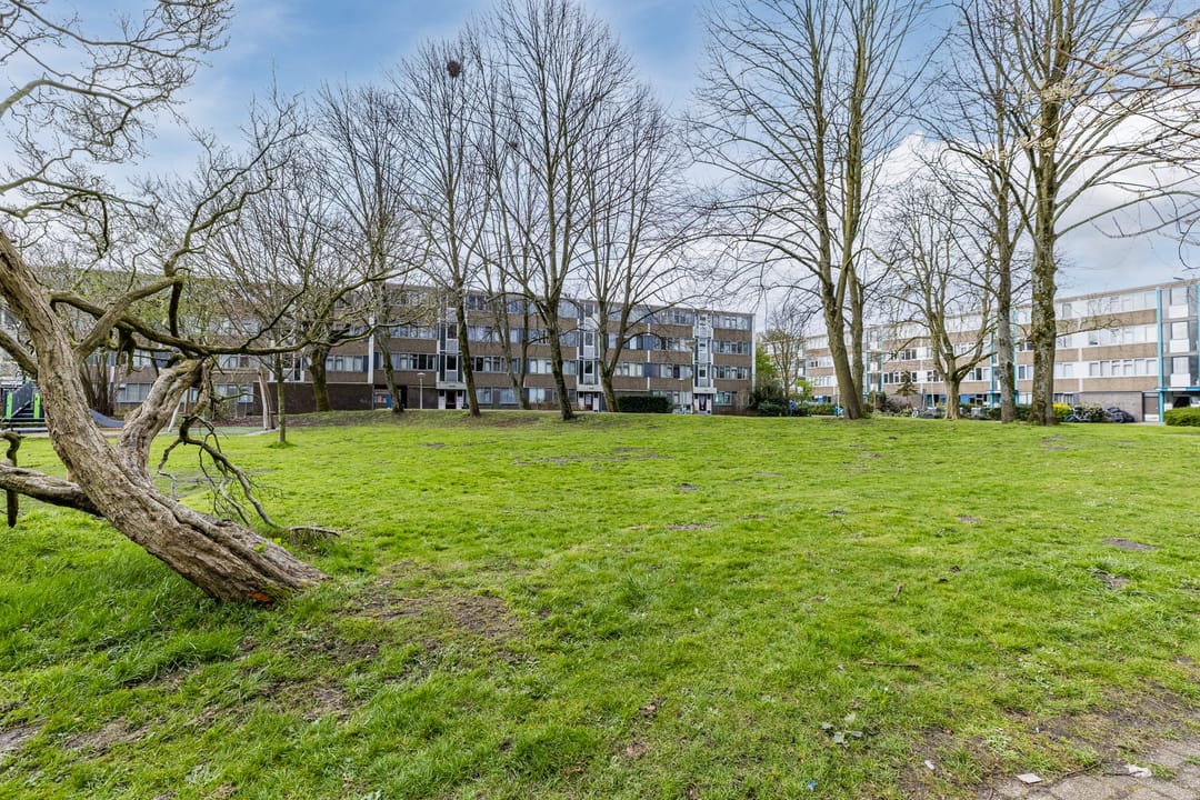 Photo 32 of Fokkezeil 63