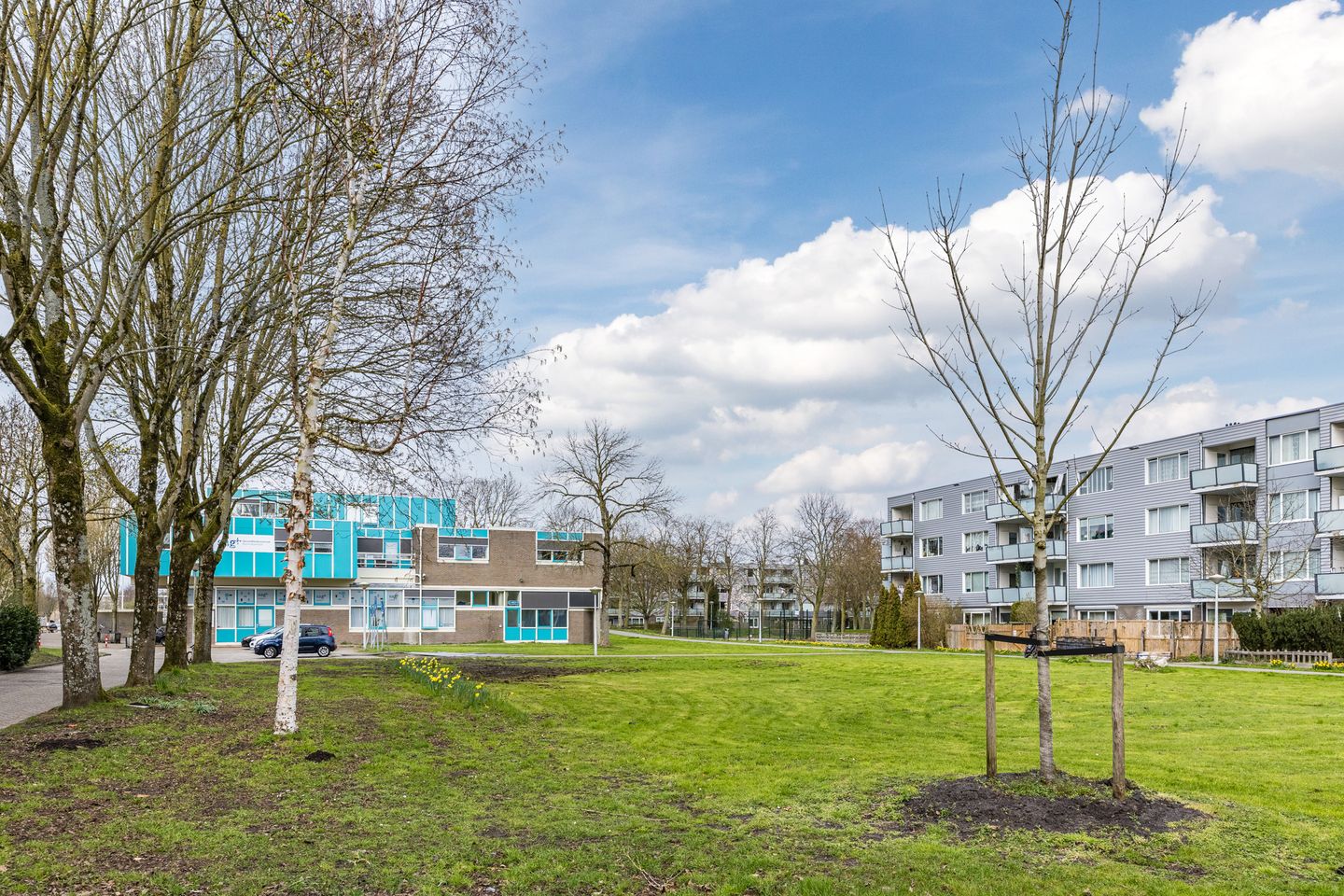 Photo 35 of Fokkezeil 63