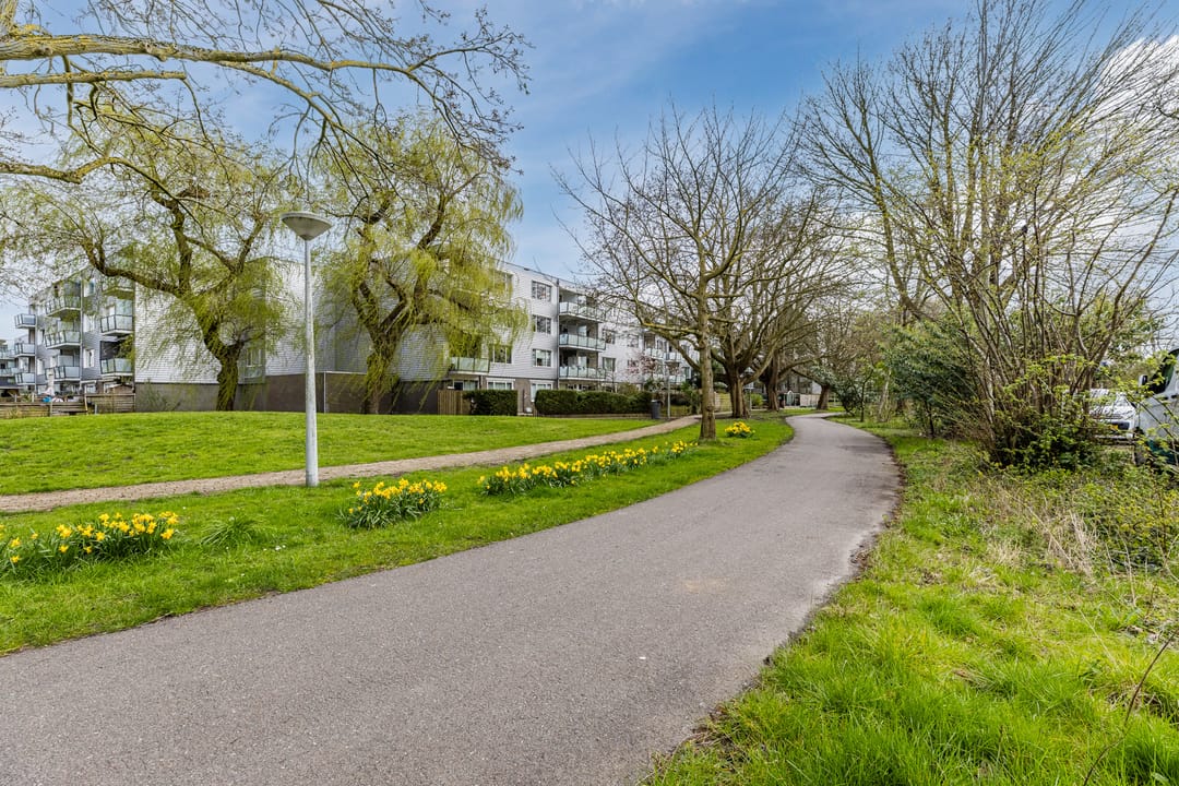 Photo 37 of Fokkezeil 63