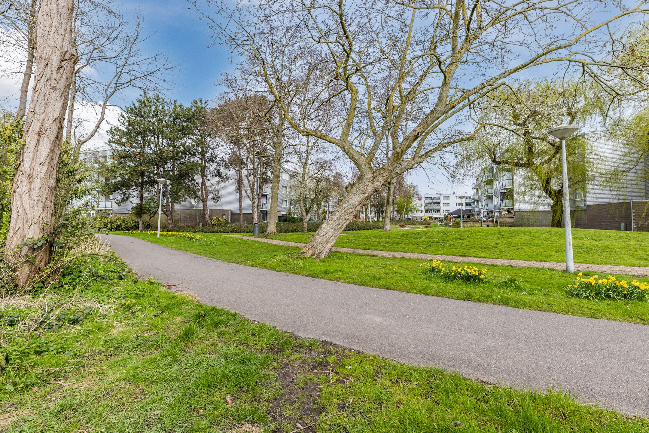 Photo 36 of Fokkezeil 63