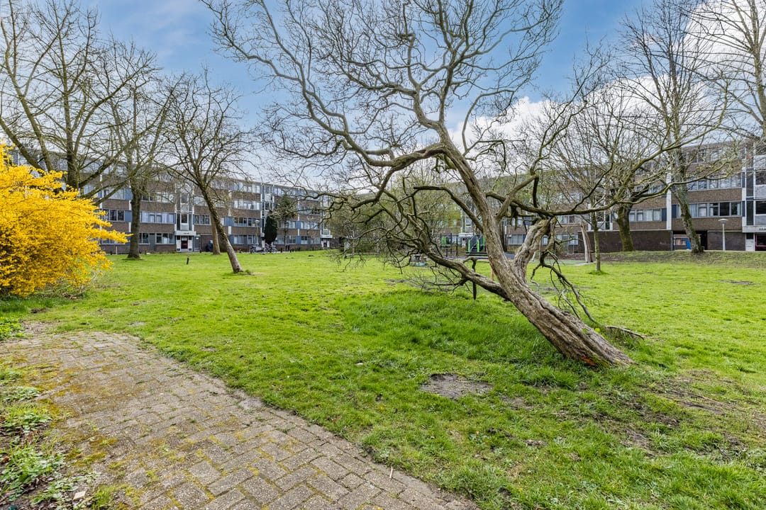 Photo 31 of Fokkezeil 63