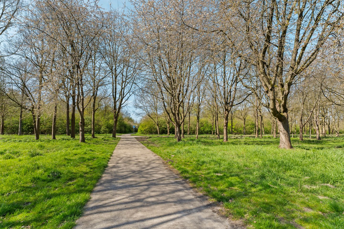 Foto 59 van Paletlaan 19