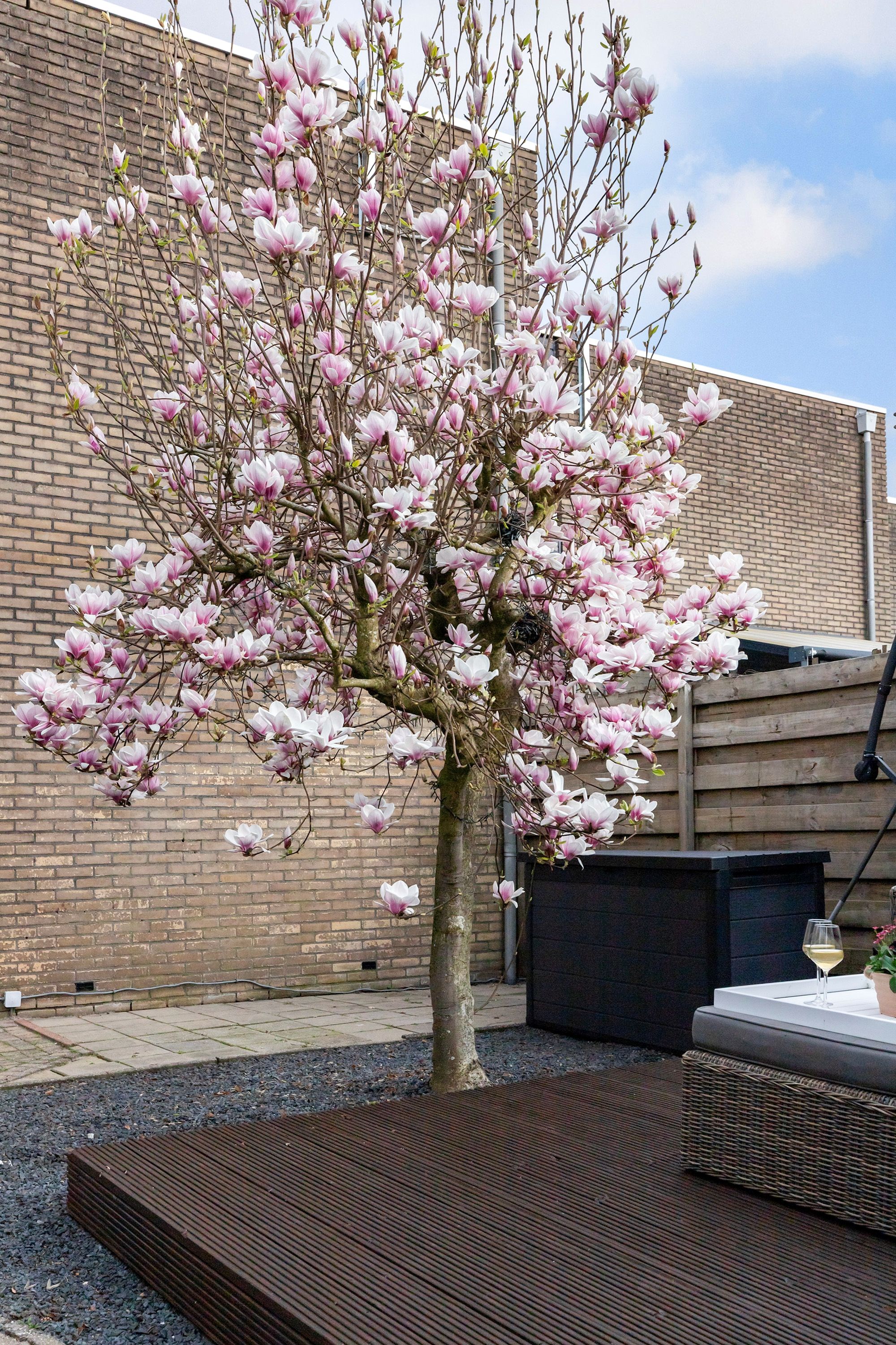 Foto 9 van Rietdekkersdreef 306