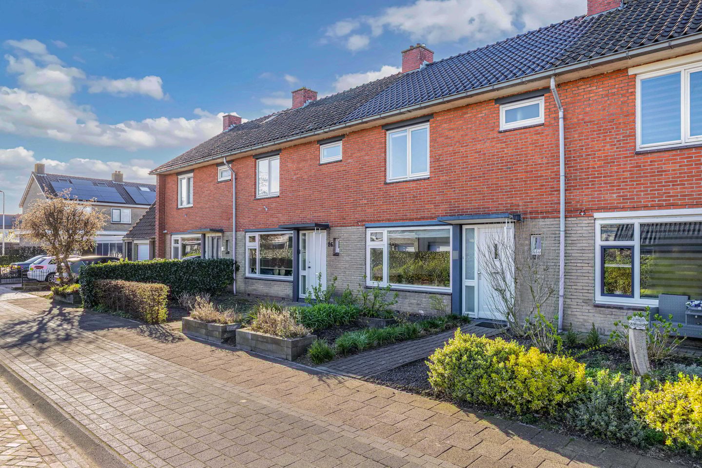 Foto 5 van Ureterperend 24