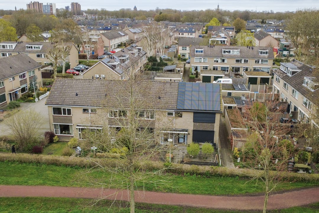 Photo 7 of Fluitekruid 13