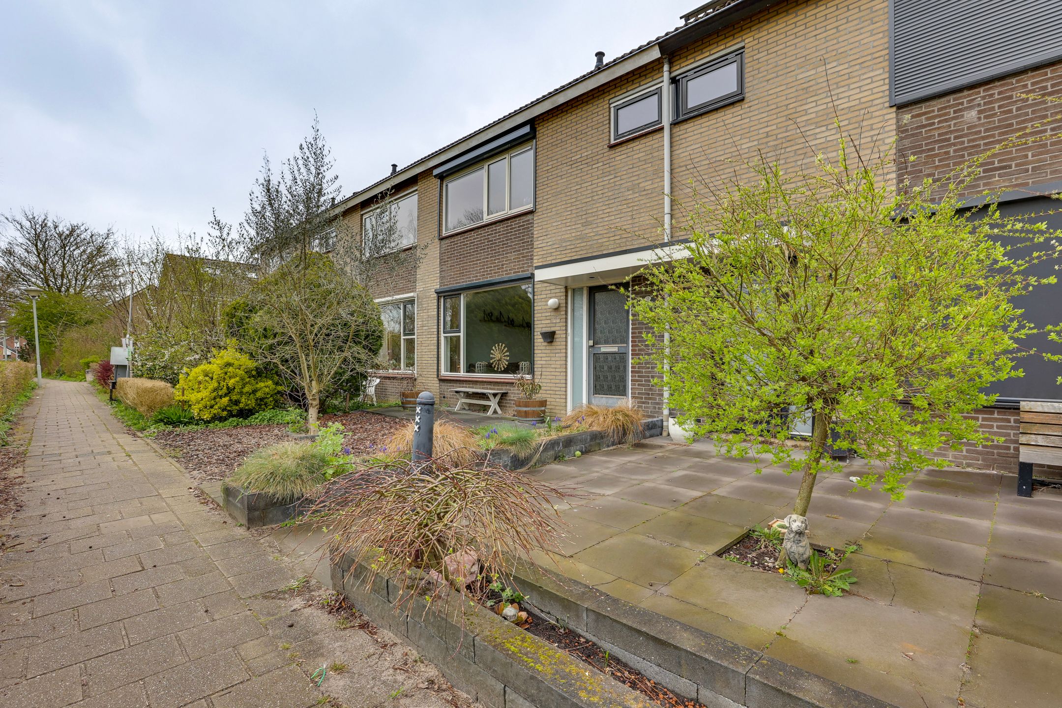 Photo 9 of Fluitekruid 13