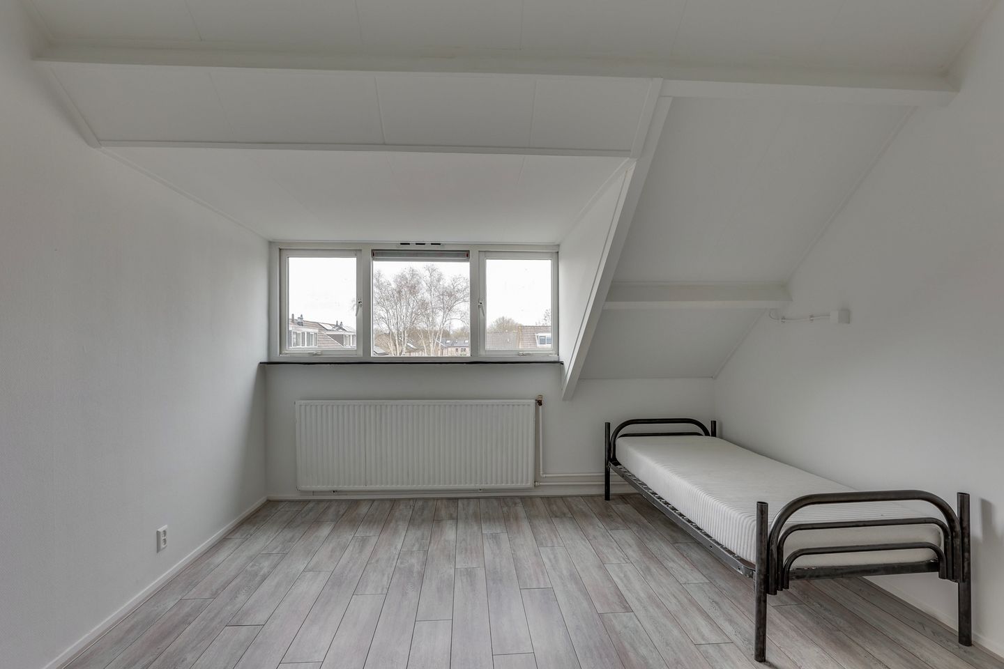 Photo 34 of Fluitekruid 13