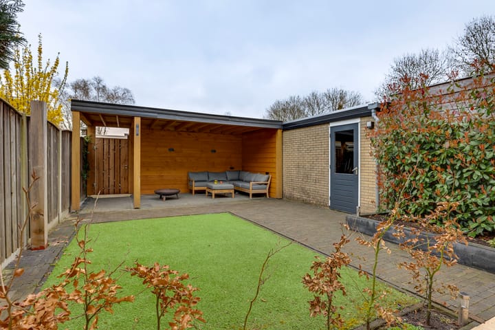 Foto 4 van Fluitekruid 13