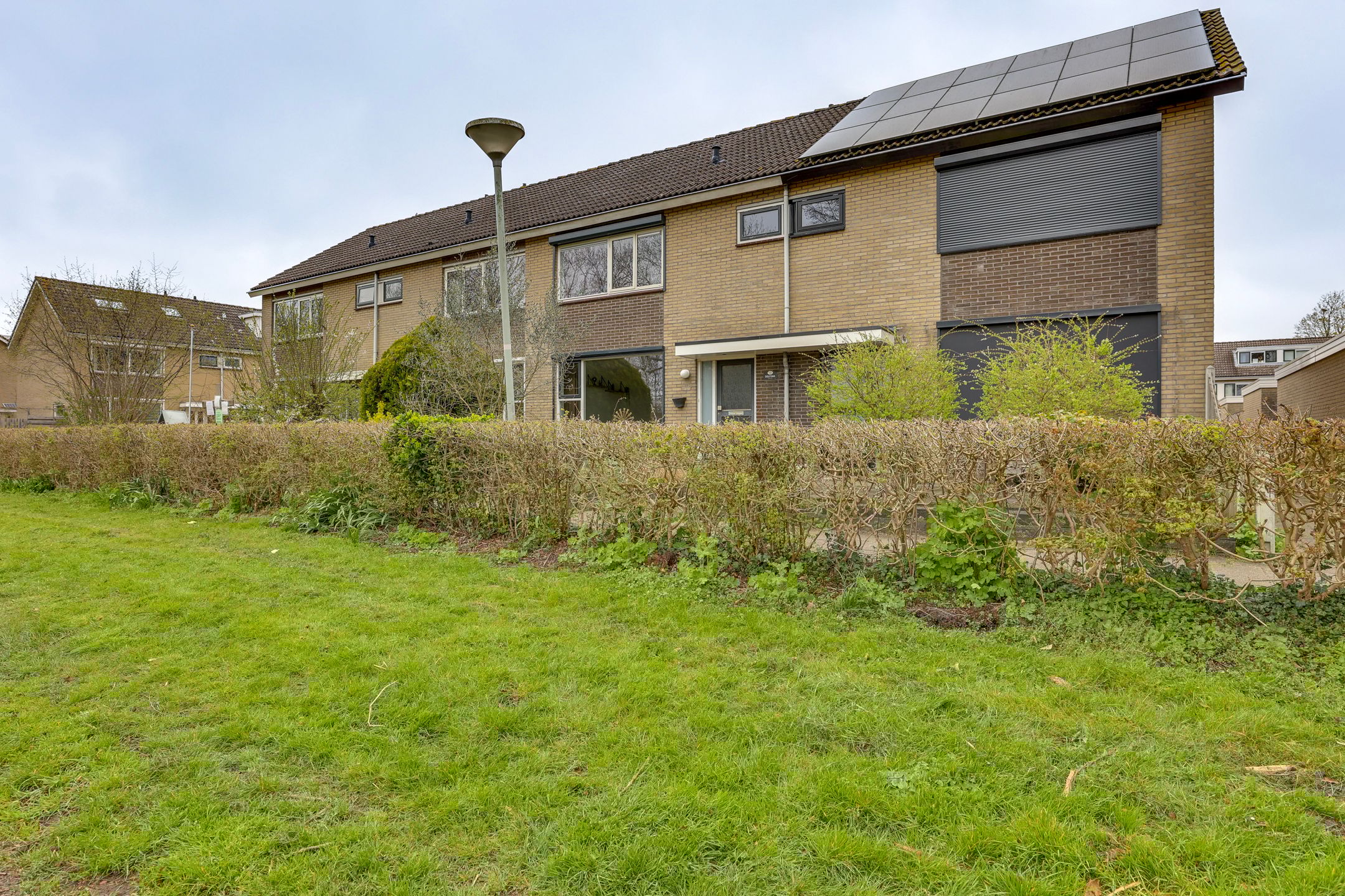 Photo 36 of Fluitekruid 13