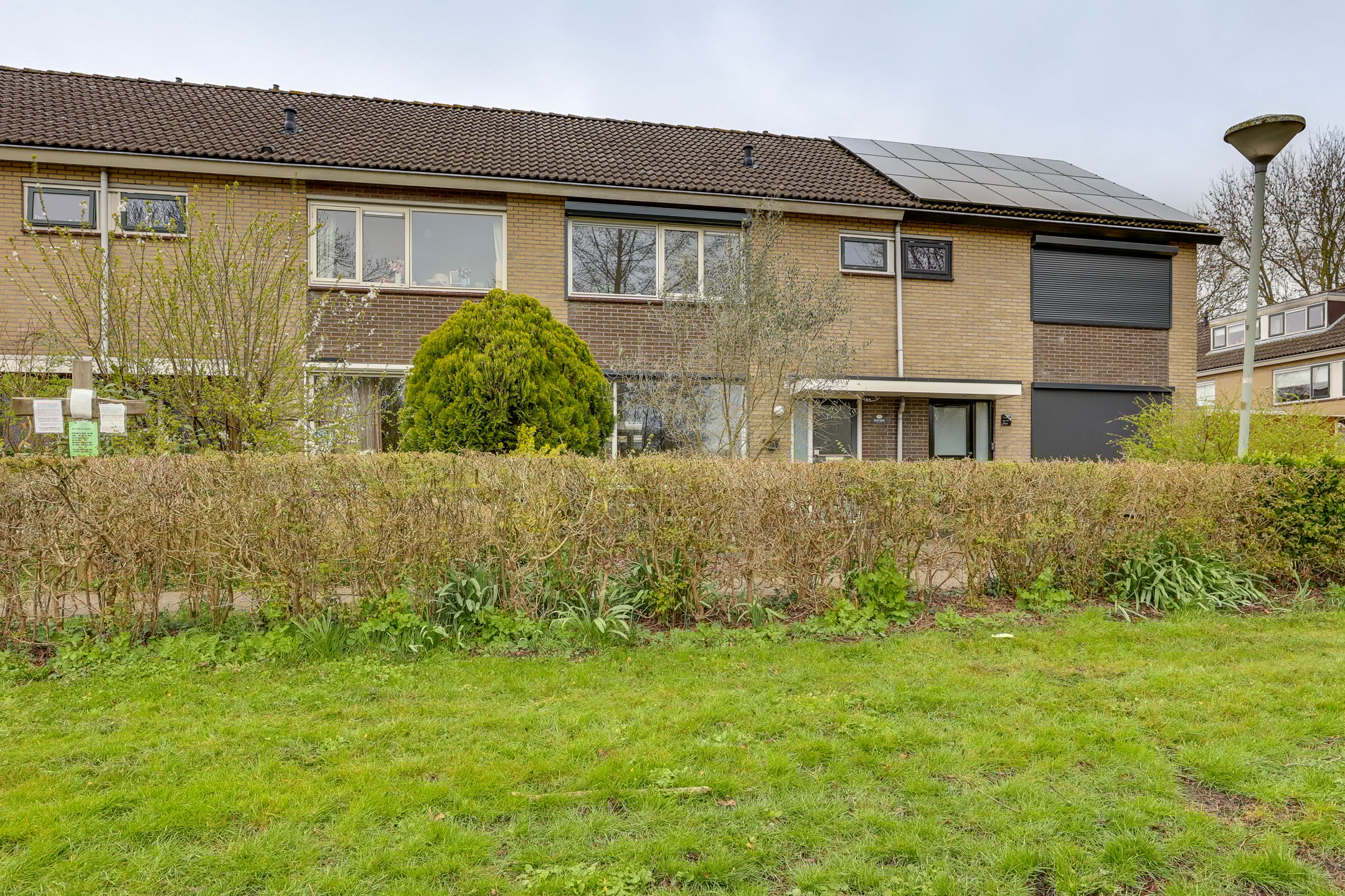 Photo 6 of Fluitekruid 13