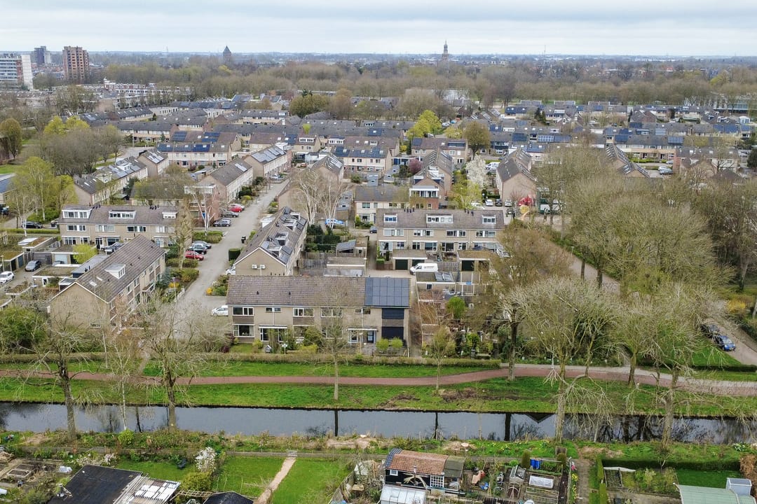 Photo 38 of Fluitekruid 13