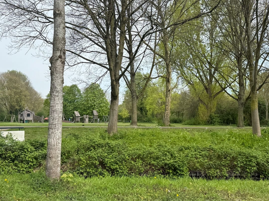 Foto 32 van Bachstraat 19