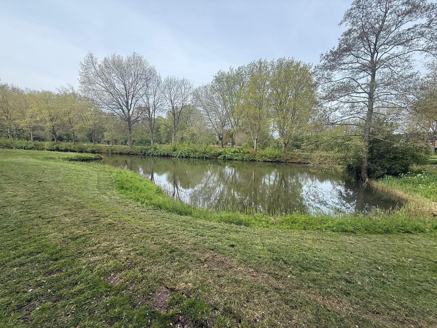 Foto 34 van Bachstraat 19