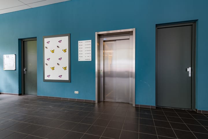 Photo 4 of Mercuriuspad 8