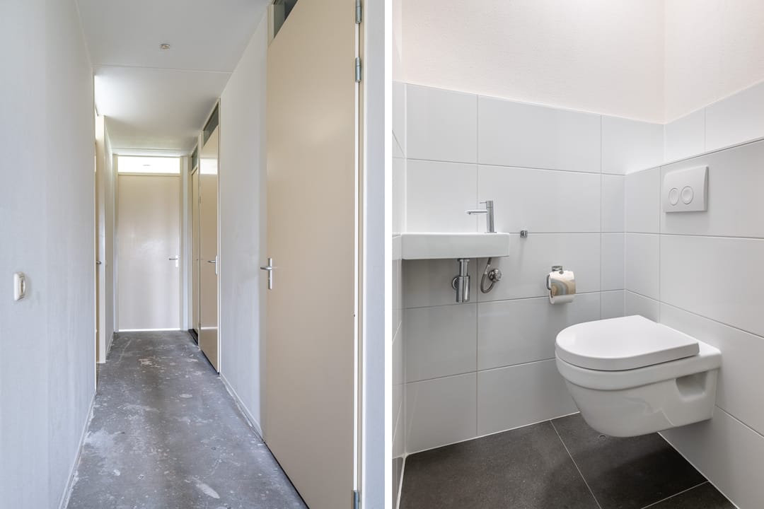 Photo 8 of Mercuriuspad 8