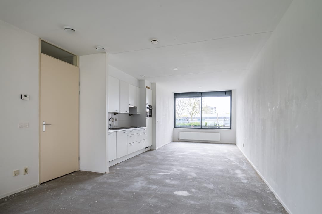 Photo 11 of Mercuriuspad 8