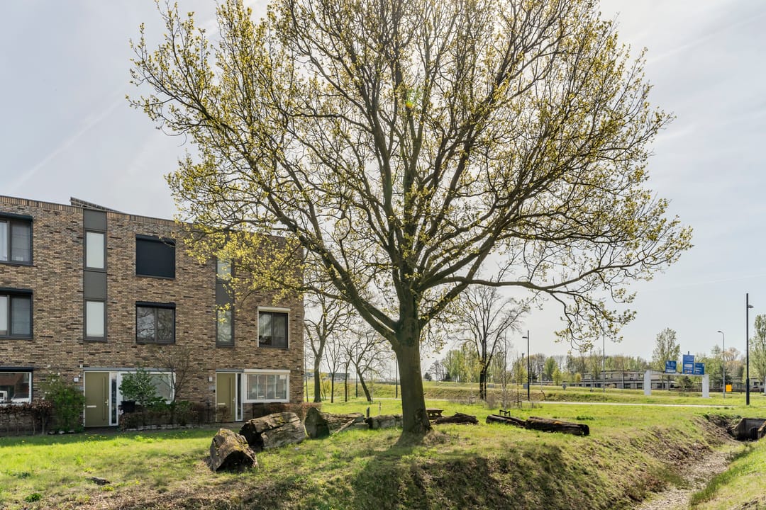 Foto 38 van Graslinnen 7