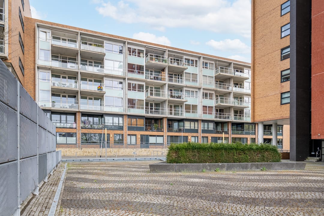 Photo 22 of Mercuriuspad 8