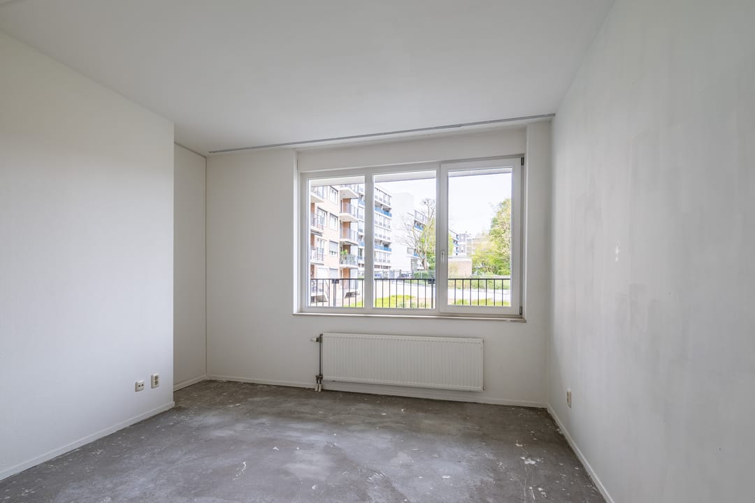 Photo 17 of Mercuriuspad 8