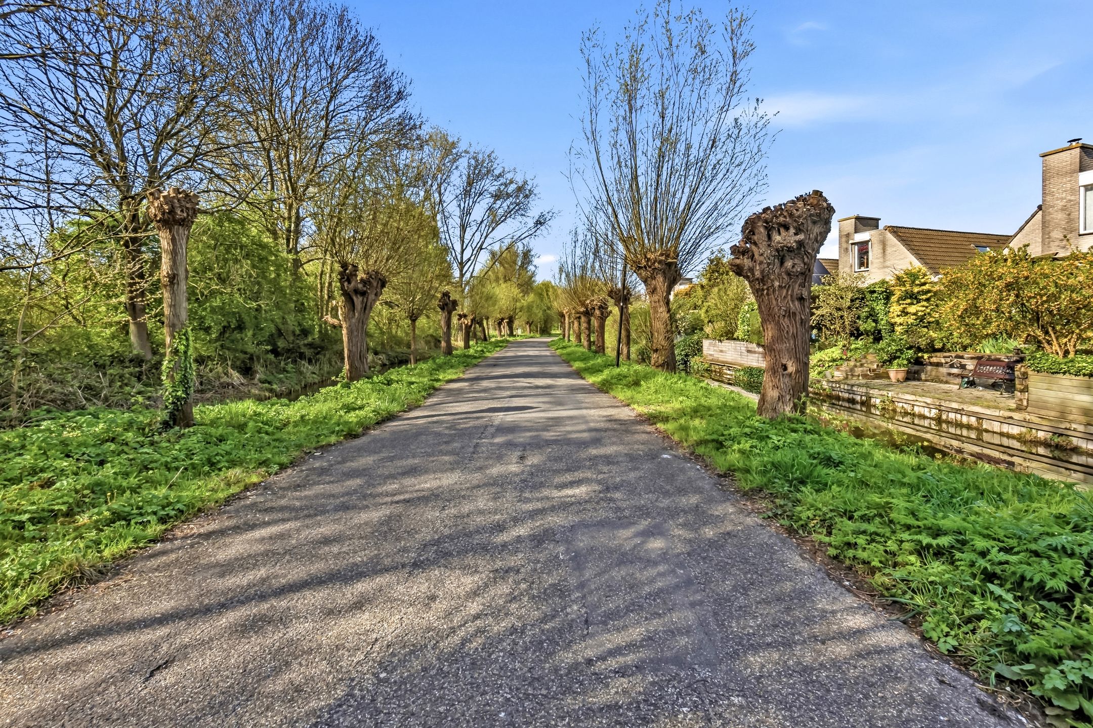 Foto 48 van Burgemeester Cochiuslaan 3