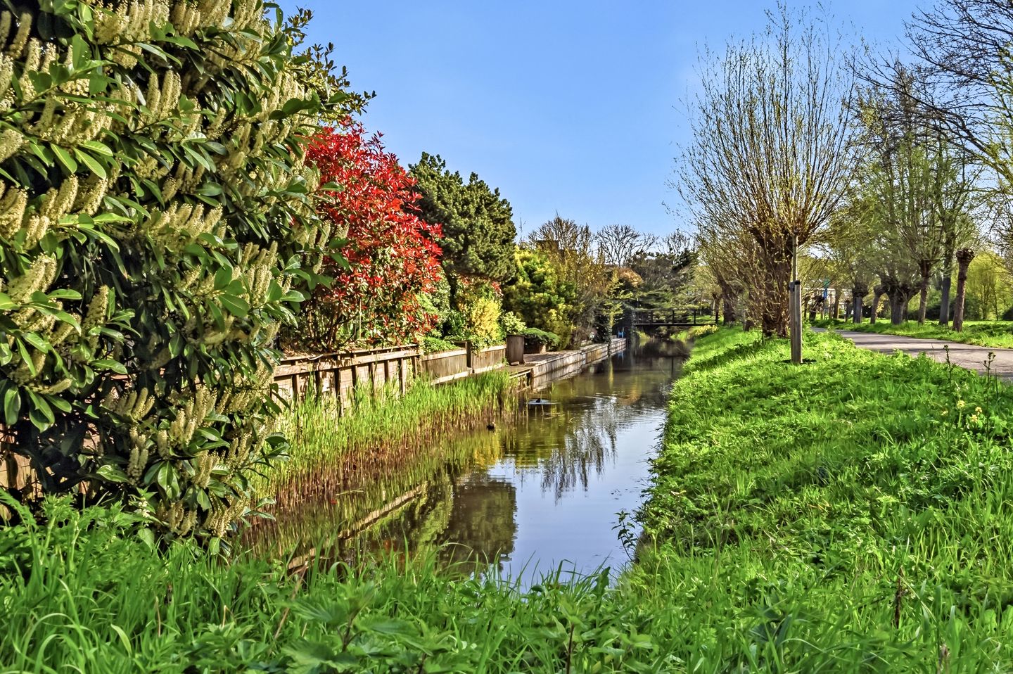 Foto 49 van Burgemeester Cochiuslaan 3