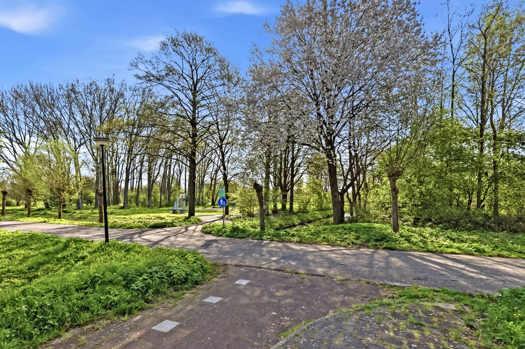 Foto 47 van Burgemeester Cochiuslaan 3