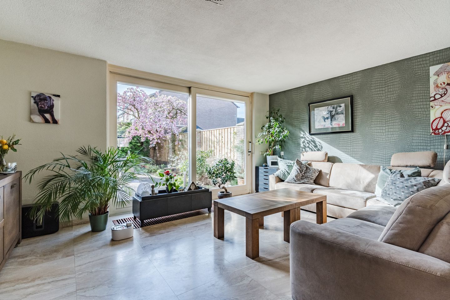 Foto 10 van Overijsselplantsoen 37