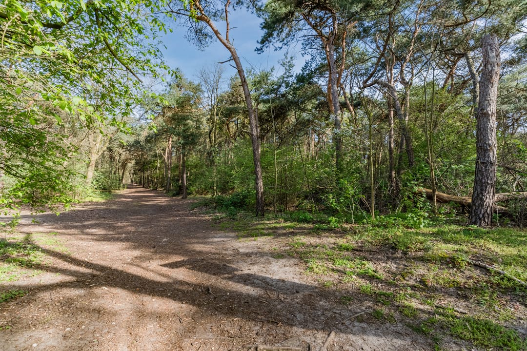 Foto 52 van Overijsselplantsoen 37