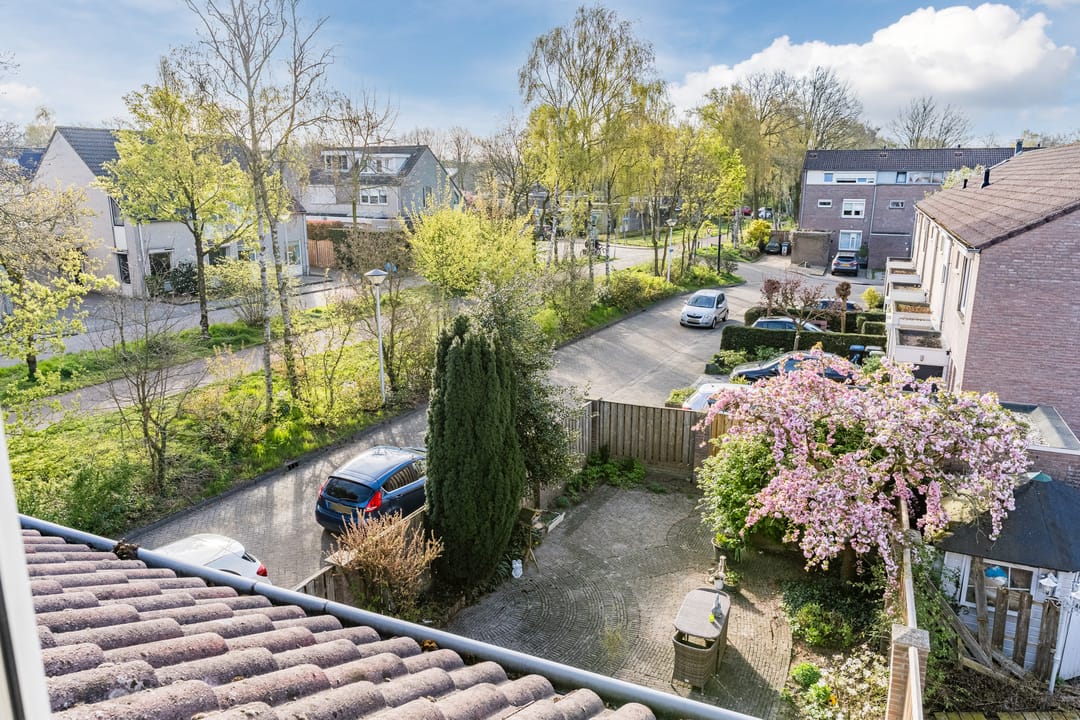 Foto 41 van Overijsselplantsoen 37