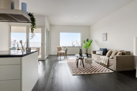 Van der Hoevenplein thumbnail