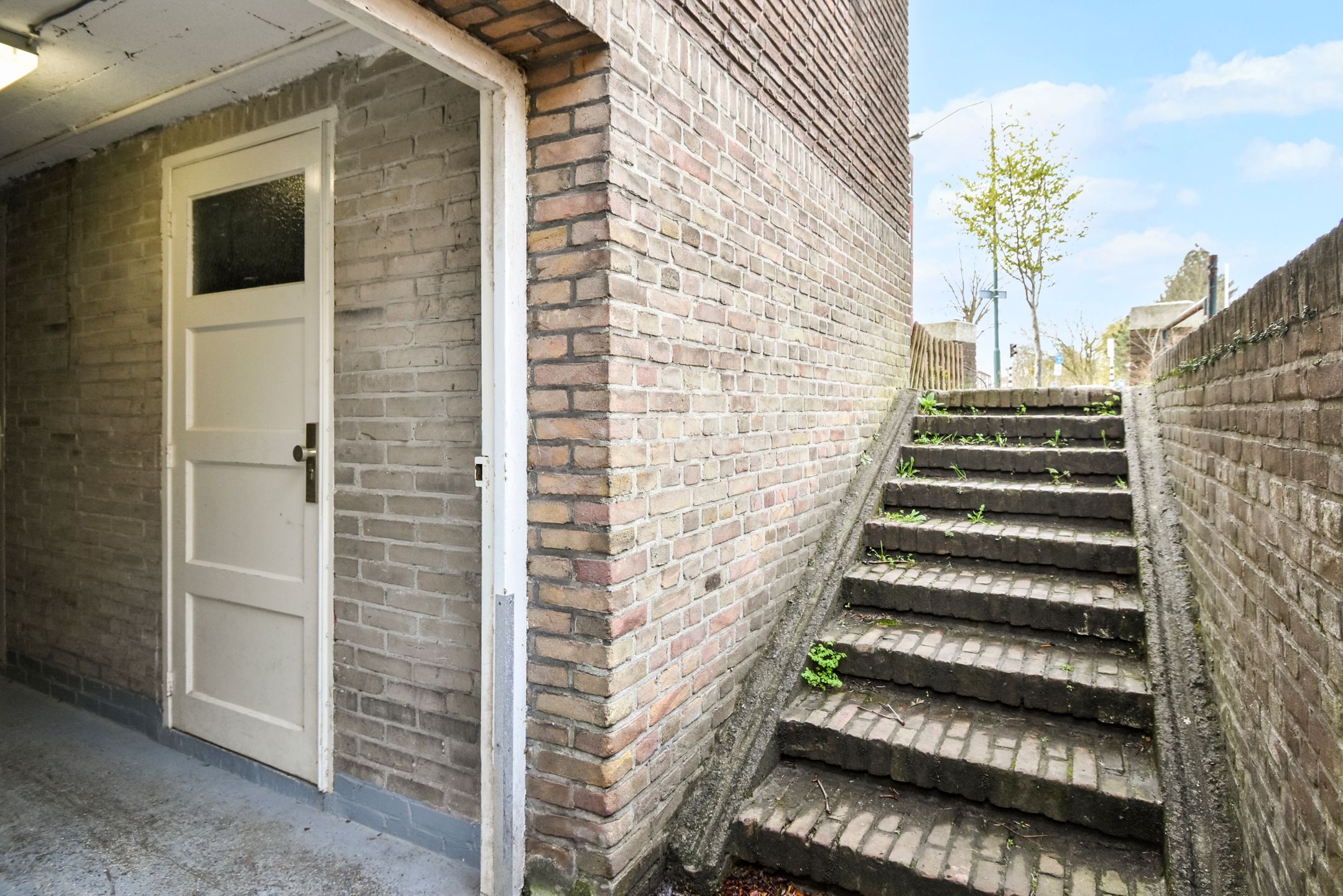 Photo 24 of Rozenboomlaan 184