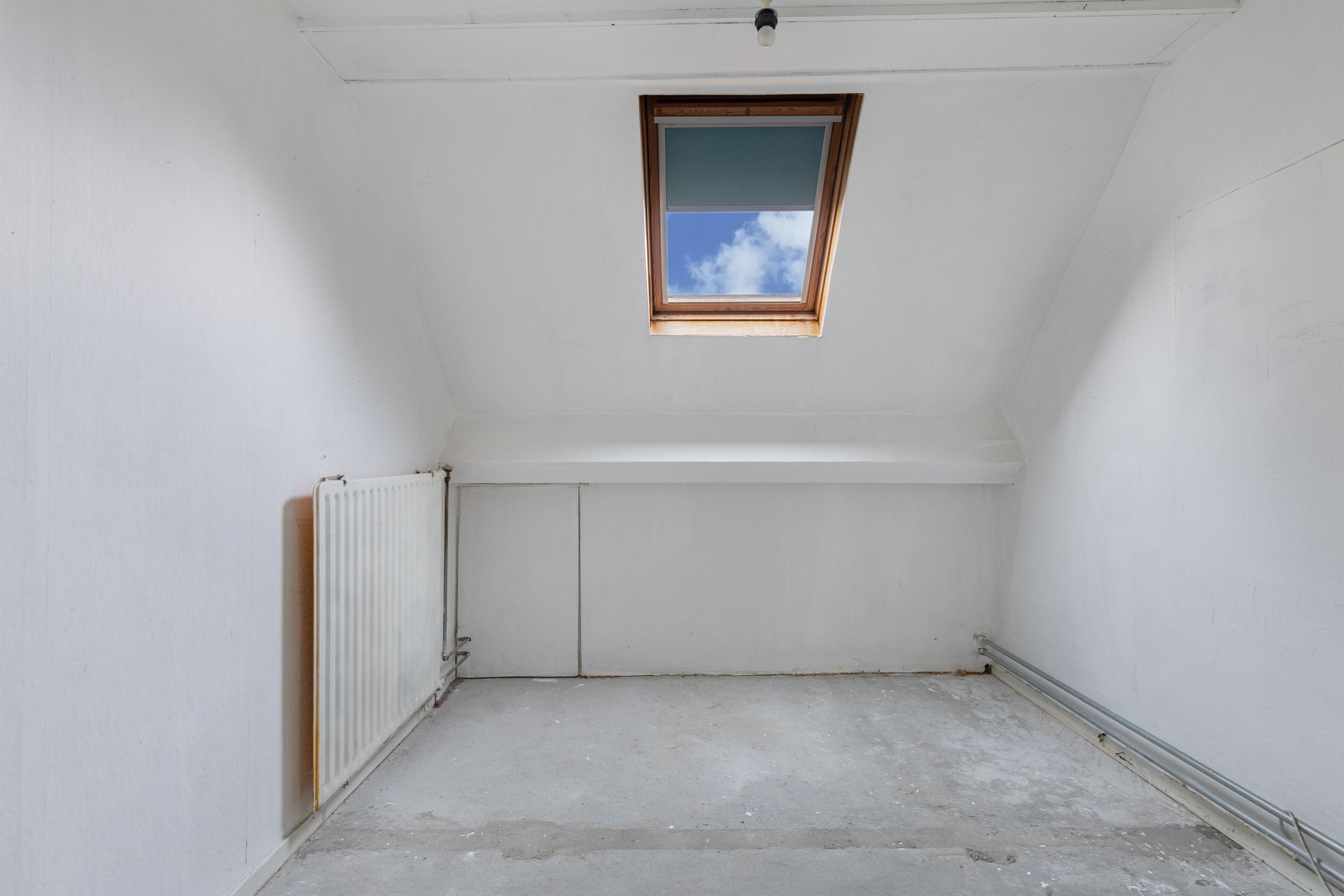 Foto 24 van Pastorijleane 10