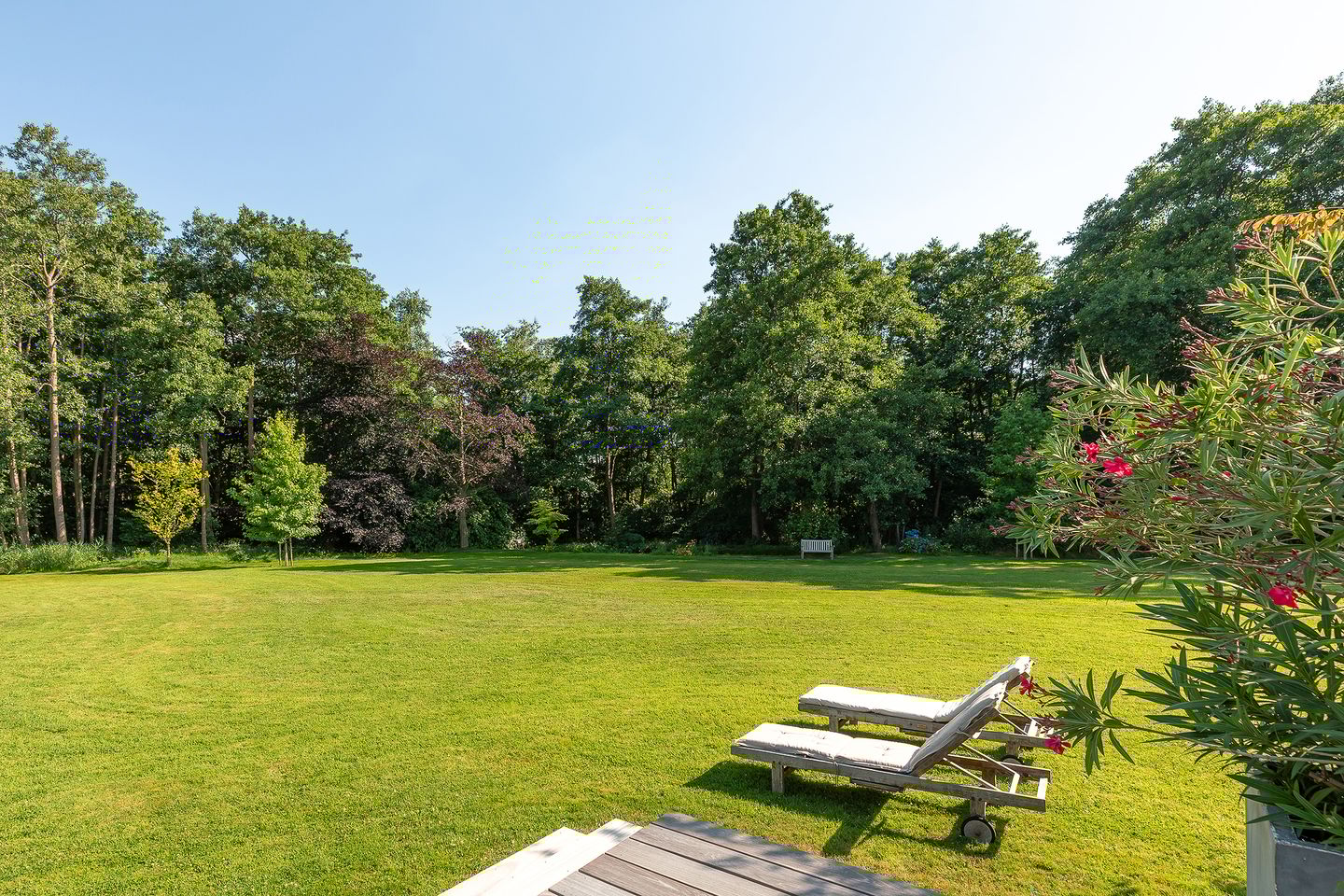 Foto 55 van Moleneind 32