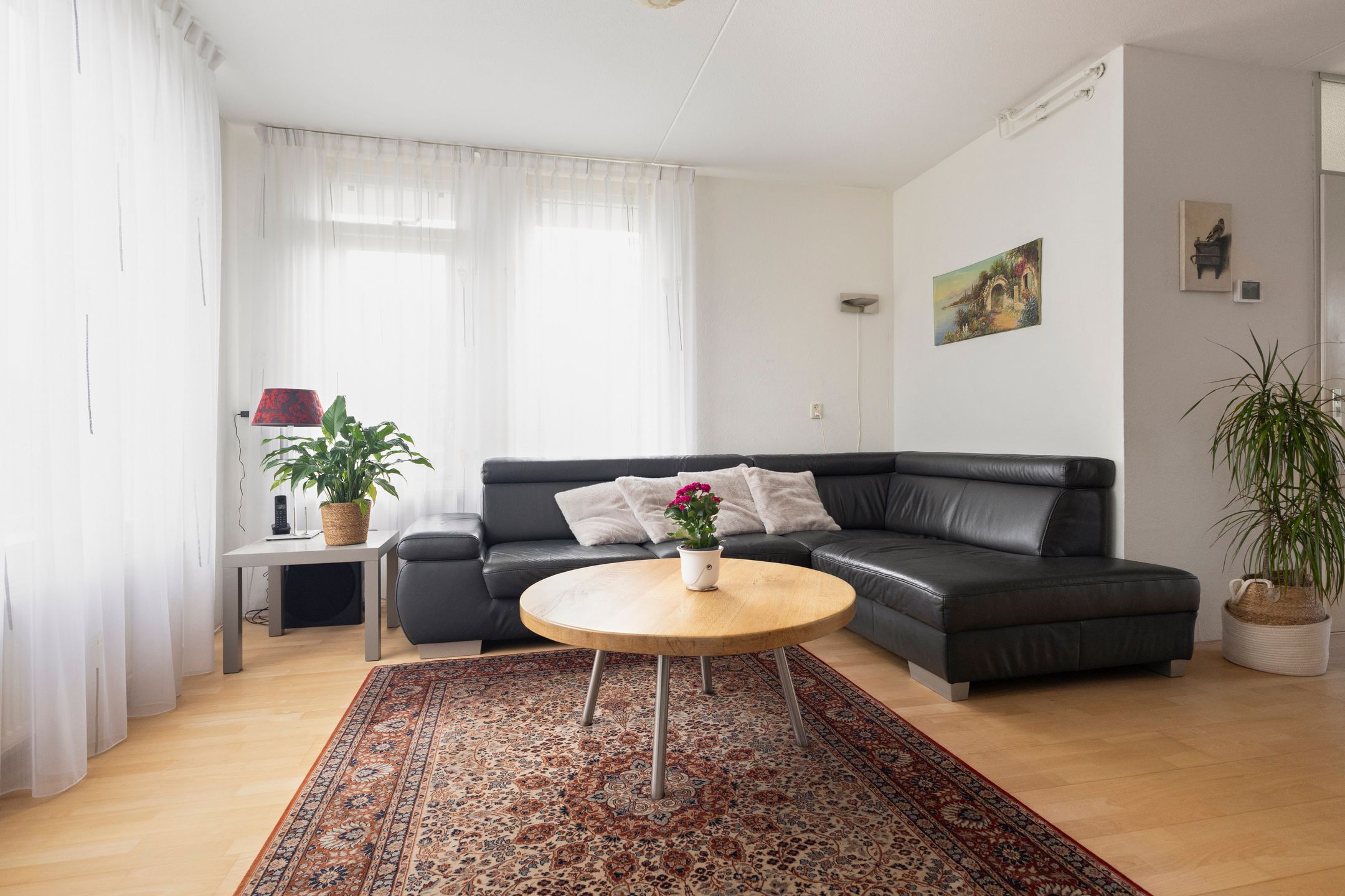 Foto 3 van Wierbalg 2812