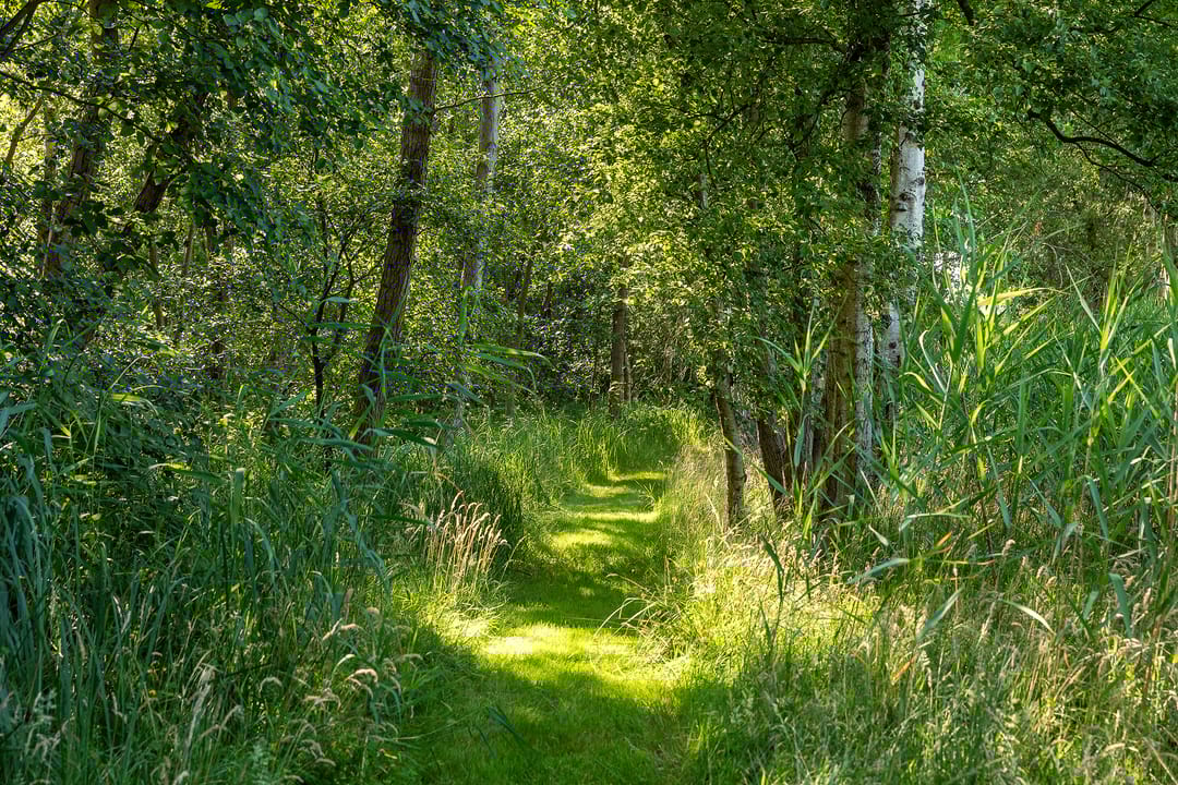 Foto 56 van Moleneind 32